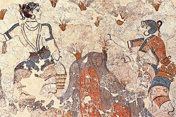 تاریخچه زعفران در آمریکای شمالی